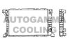 AUTOGAMMA 100393 Radiator, engine cooling